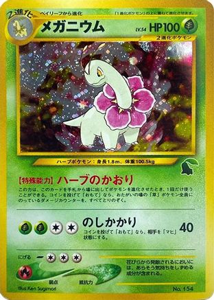Meganium  - Intro Pack Neo Chikorita Holofoil