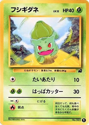 Bulbasaur - 1 (1) - Intro Pack Bulbasaur