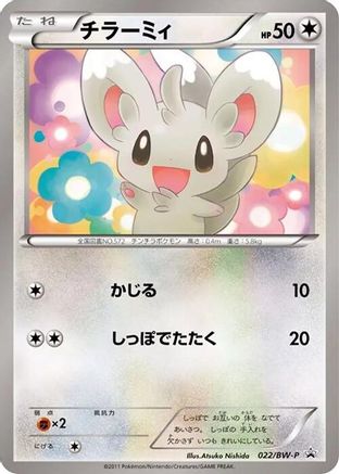 Minccino - 022/BW-P (022/BW-P) - BWP Promotional cards