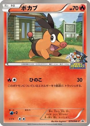 Tepig - 079/BW-P (079/BW-P) - BWP Promotional cards