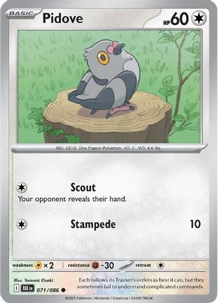 Pidove (071) [SV Black Bolt] Reverse Holofoil - Common