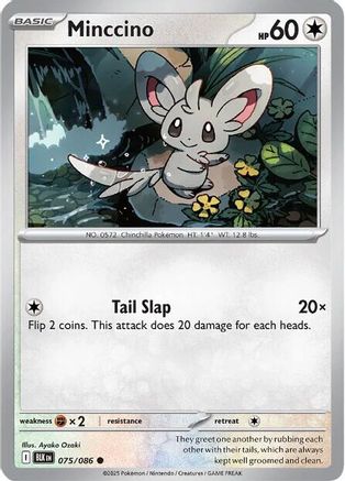 Minccino (075) [SV Black Bolt] - Common
