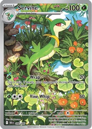 Servine (088/086) [SV Black Bolt] Holofoil - Illustration Rare