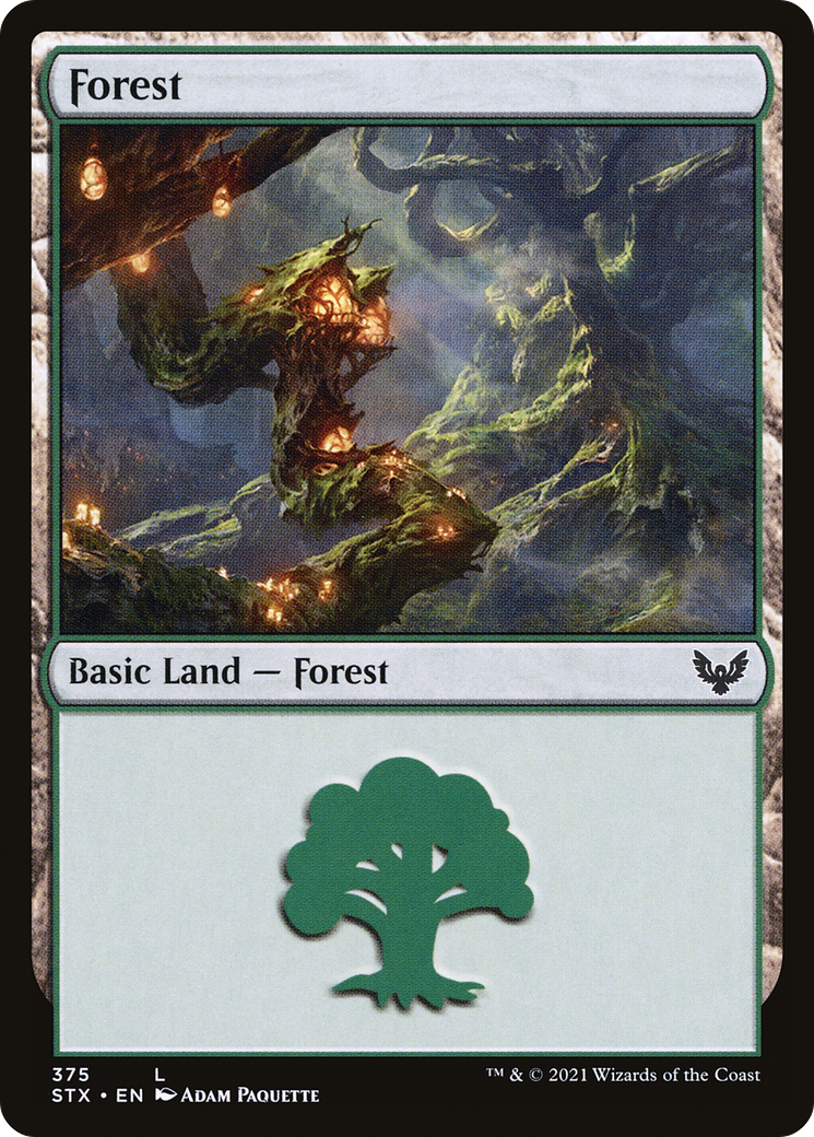 Forest (STX-375) [Strixhaven: School of Mages]