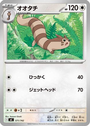 Furret (571/742) - Start Deck 100 Battle Collection
