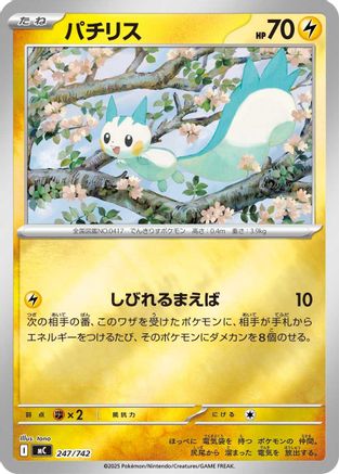 Pachirisu (247/742) - Start Deck 100 Battle Collection