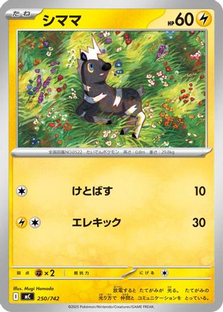 Blitzle - 250/742 (250/742) - Start Deck 100 Battle Collection