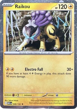 Raikou (Cosmos Holo) (048/132) [Miscellaneous Cards & Products] Holofoil - Promo