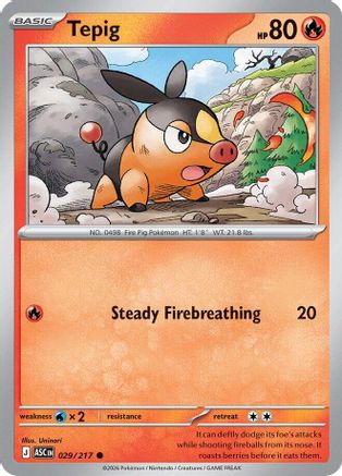 Tepig (029) [ME Ascended Heroes] - Common
