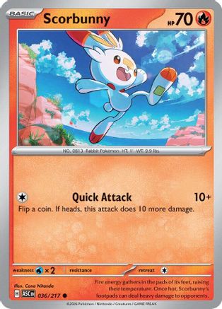 Scorbunny (036/217) [ME Ascended Heroes] - Common