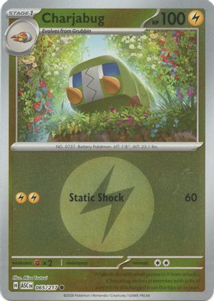 Charjabug (Energy Symbol Pattern) (065) [ME Ascended Heroes] Reverse Holofoil - Common