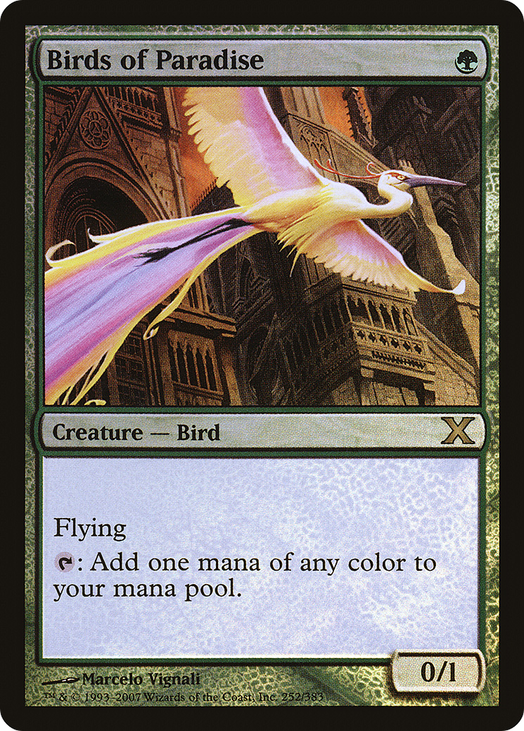 Birds of Paradise (10E-252★) [Tenth Edition] Foil