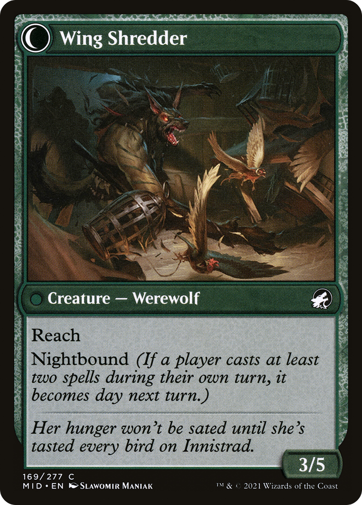 Bird Admirer (MID-169) [Innistrad: Midnight Hunt] Foil