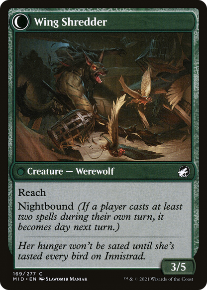 Bird Admirer (MID-169) [Innistrad: Midnight Hunt] Foil