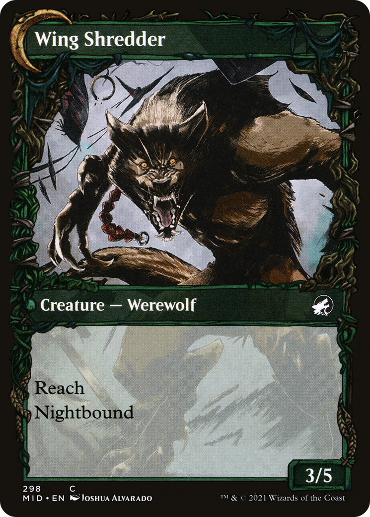 Bird Admirer (Showcase) (MID-298) [Innistrad: Midnight Hunt]