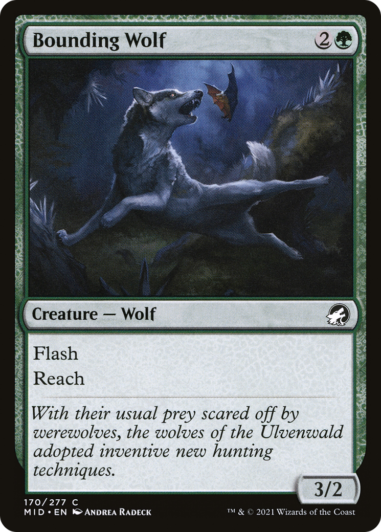 Bounding Wolf (MID-170) [Innistrad: Midnight Hunt] Foil