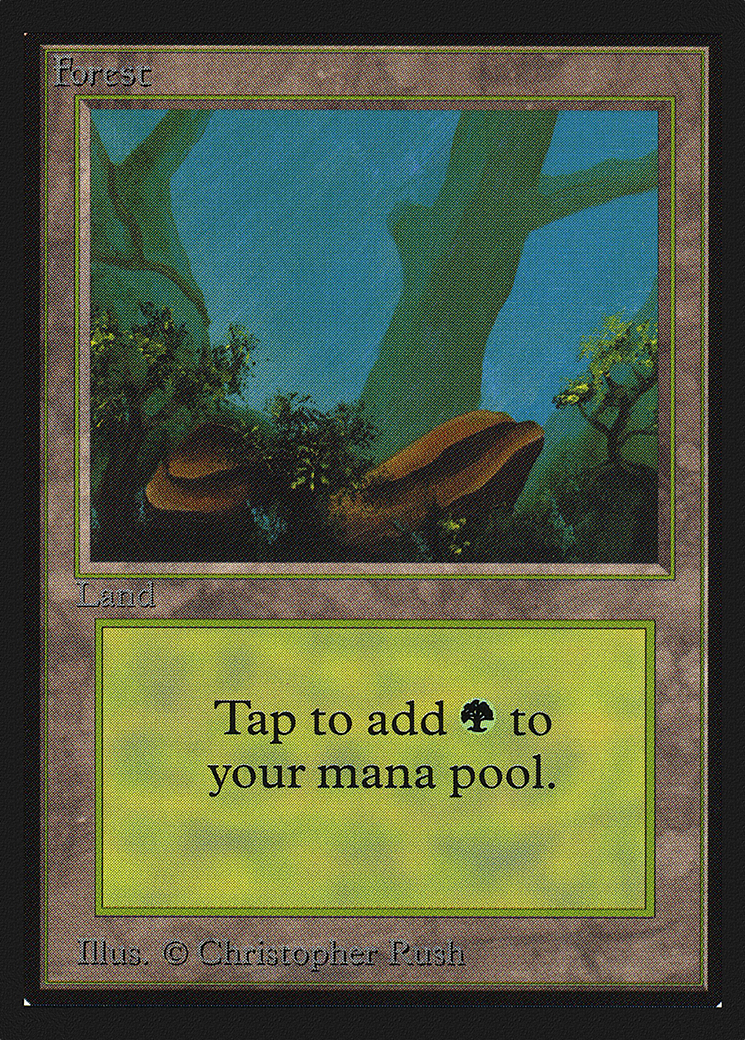 Forest (A) (IE) (IED-280) [Intl. Collectors' Edition]