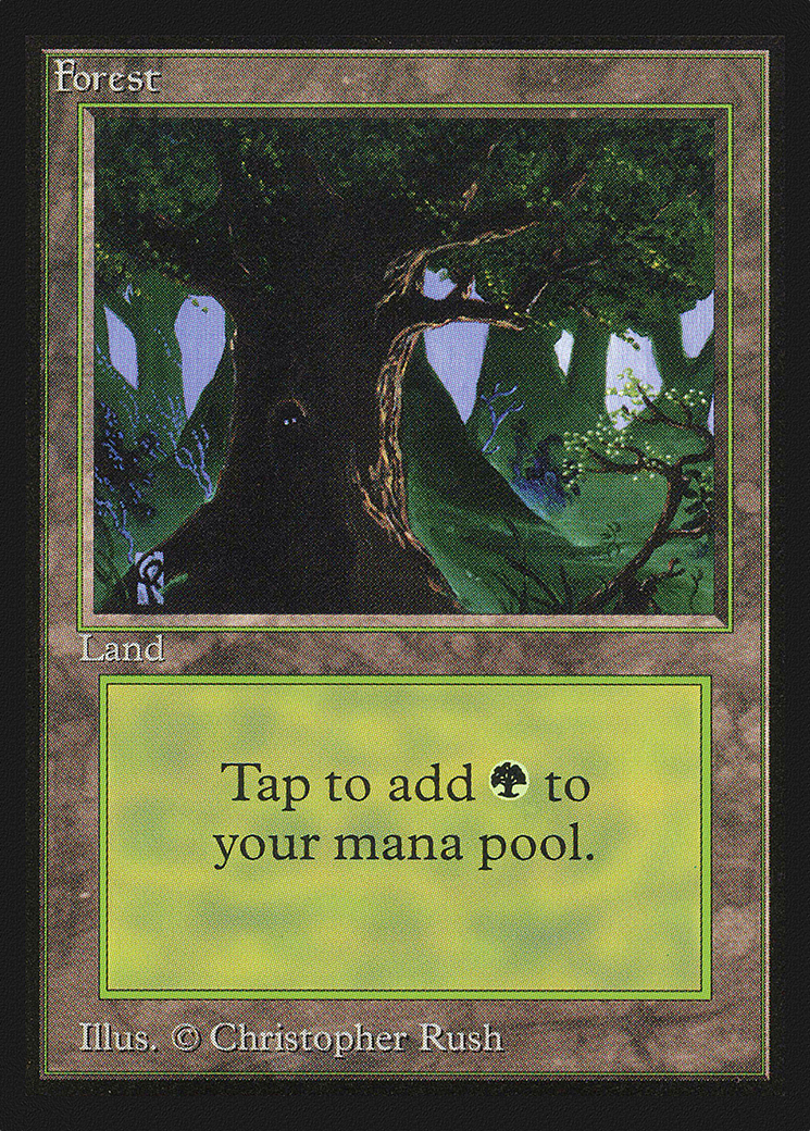 Forest (C) (IE) (IED-282) [Intl. Collectors' Edition]