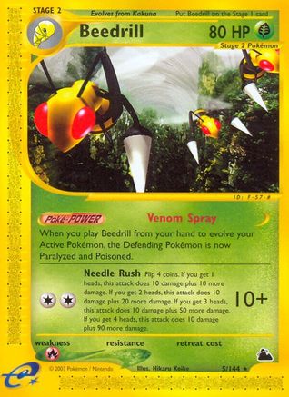 Beedrill (5/144) [Skyridge] - Rare