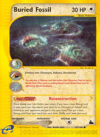 Buried Fossil (47/144) [Skyridge] - Common