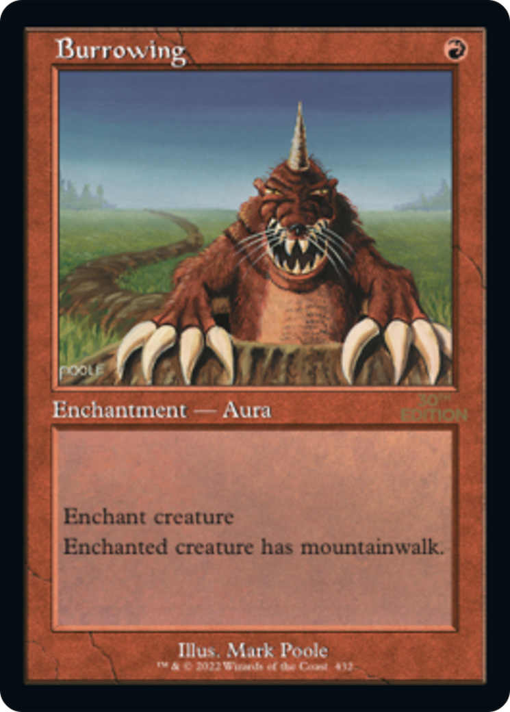 Burrowing (Retro Frame) (30A-432) [30th Anniversary Edition]