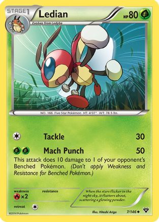 Ledian (7/146) [XY Base Set] Reverse Holofoil - Uncommon