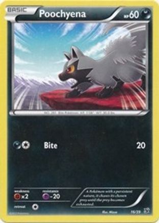 Poochyena (16/39) [Kalos Starter Set] - Common