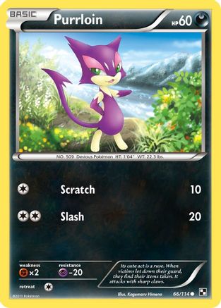 Purrloin (66/114) [Black and White] - Common