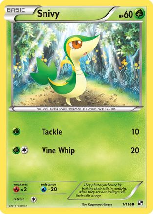 Snivy (001/114) [Black and White] - Common