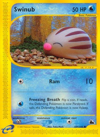 Swinub (107/144) [Skyridge] - Common
