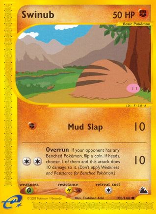 Swinub (108/144) [Skyridge] Reverse Holofoil - Common