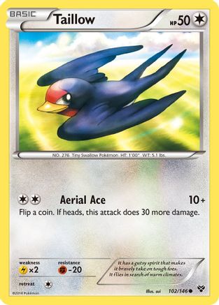 Taillow (102/146) [XY Base Set] - Common