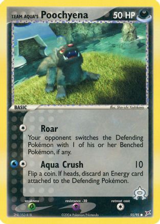 Team Aqua's Poochyena (55/95) [Team Magma vs Team Aqua] - Common