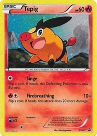 Tepig (BW07/101) [Black and White Promos] Holofoil - Promo