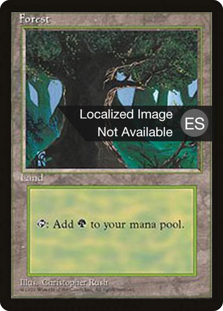 Forest (C) (4BB-176) [Fourth Edition Foreign Black Border]