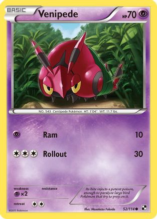 Venipede (52/114) [Black and White] Reverse Holofoil - Common