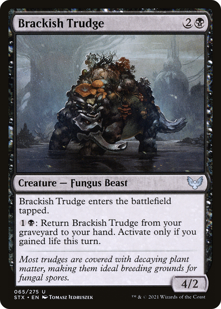 Brackish Trudge (STX-065) [Strixhaven: School of Mages] Foil