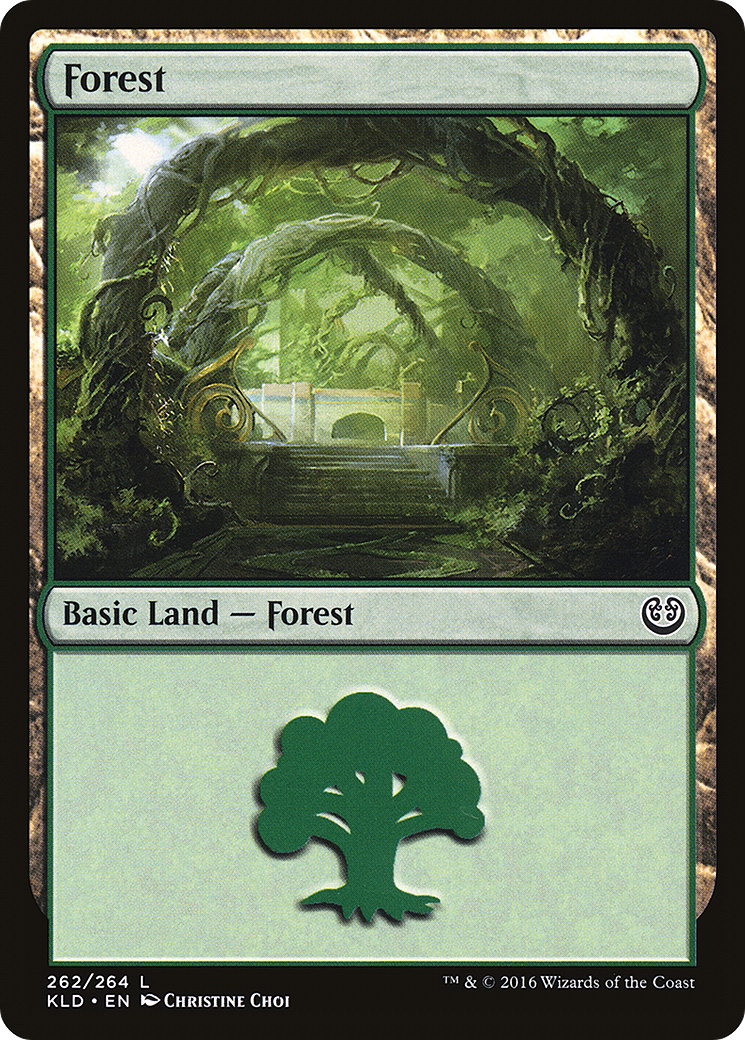 Forest (KLD-262) [Kaladesh]