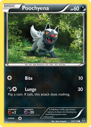 Poochyena (053/119) [XY  Phantom Forces] - Common