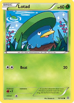 Lotad (010/160) [XY  Primal Clash] - Common