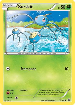 Surskit (13/160) [XY  Primal Clash] Reverse Holofoil - Common