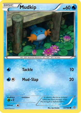 Mudkip (033/160) [XY  Primal Clash] - Common