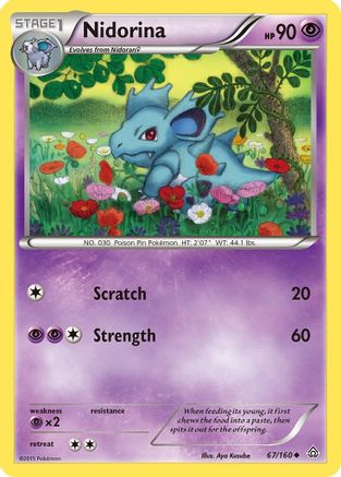 Nidorina (067/160) [XY  Primal Clash] Reverse Holofoil - Uncommon