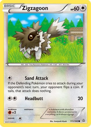 Zigzagoon (111/160) [XY  Primal Clash] - Common