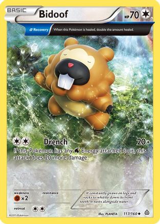 Bidoof (Alpha) (117/160) [XY  Primal Clash] Reverse Holofoil - Uncommon