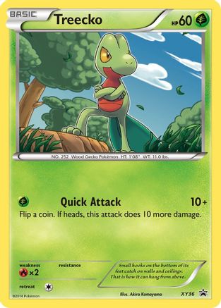 Treecko - XY36 (XY36/211) [XY Promos] Holofoil - Promo