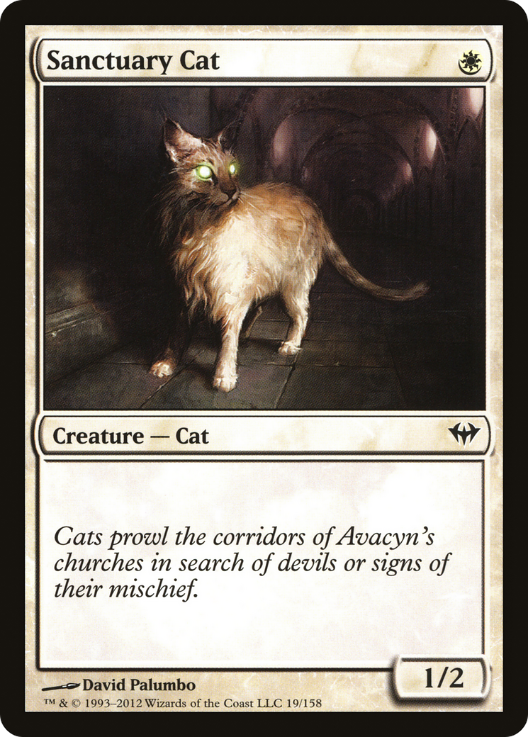 Sanctuary Cat (DKA-019) [Dark Ascension]