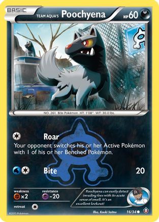Team Aqua's Poochyena (016/34) [Double Crisis] Reverse Holofoil - Common