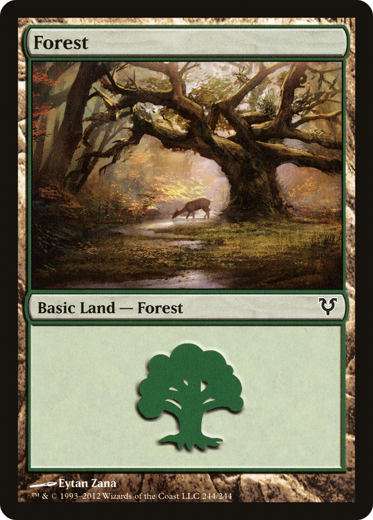Forest (AVR-244) [Avacyn Restored]