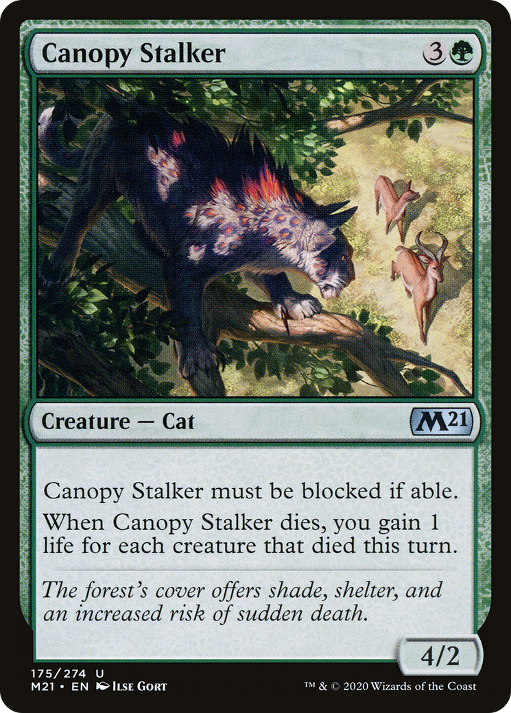 Canopy Stalker (M21-175) [Core Set 2021] Foil